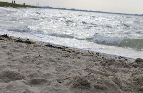 Haus am Meer Eckwarden - Foto 9