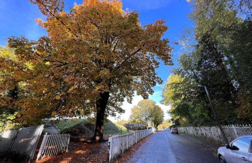 6 Luxury home near family park Pet friendly - Photo 7