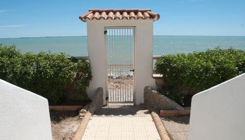 Sargantana Blava - Foto 3