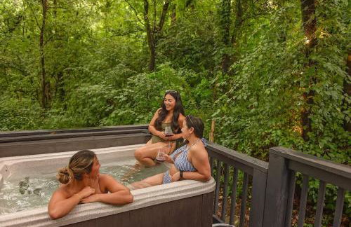 Ani Cabin Tiny Home Bordered By National Forest - Foto 12