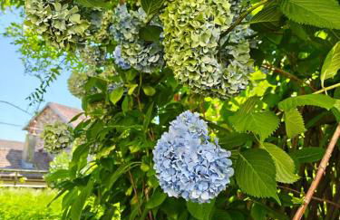 Home and garden nestled in Ameno - Foto 7