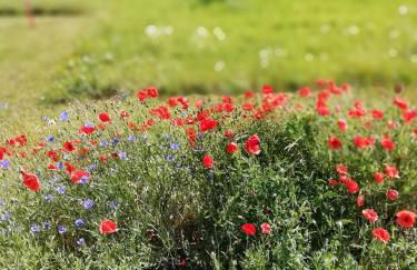 Geräumige - Foto 18