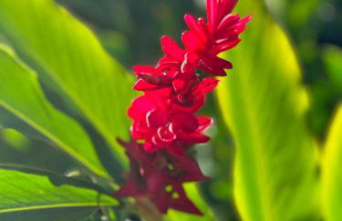 Vila dos Tangarás, Casa 2 Boutique Riacho - 30m do mar - Foto 60