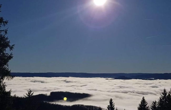 Apartment on the Isenmann Fruit Farm - Foto 14