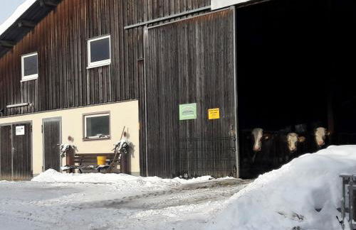 Ferienhaus Heerlichkeit - Foto 22