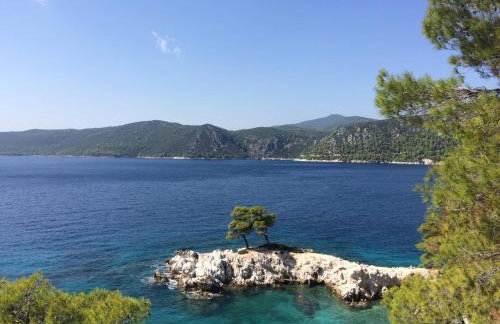 The Music House villa with pool - Foto 30