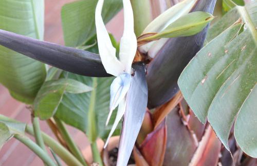 Denia Deluxe Chillout Experience - Foto 18