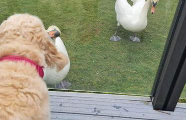 Nicks and Carmels by the Lake - Foto 34