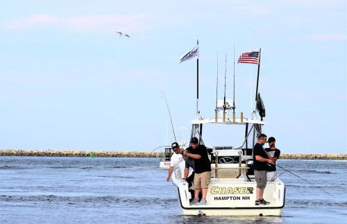 Steps to Downtown Rooftop Deck Flexible Temp Stay - Foto 56