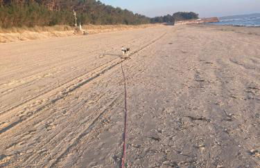 Ferienwohnung Treibholz - Foto 42