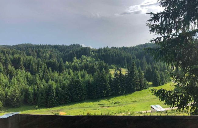 Cottage Zlodo - Foto 17