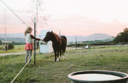 Birkenhof - Ferienhof, Landcafe und Rösterei - Photo 32
