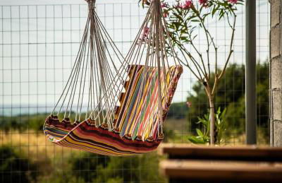 ΛΩΤΟΣ - Photo 23