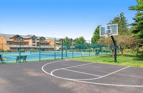 Tigers Den - Foto 46