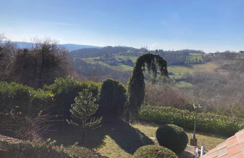 The Lion House - Foto 79