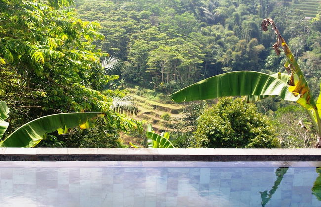 Shangrilah Villas - Foto 40