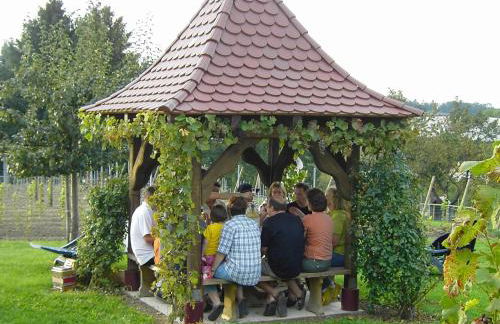 Obst- und Ferienhof Gomeringer - Foto 21