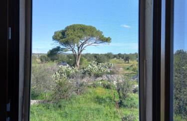 Scicli Città felice - Foto 33