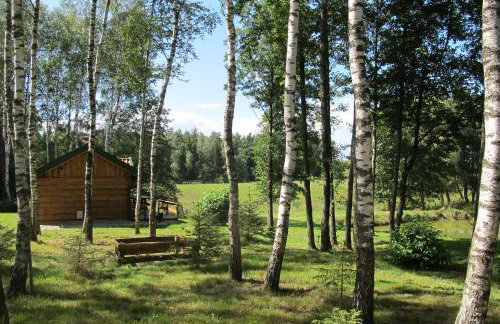 domki na leśnej polanie - Foto 16