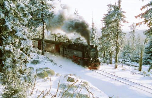 Ferienwohnungen & Campingfässer am Kunstteich - Foto 17