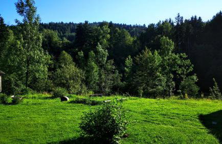 Wieś odNowa - Photo 20