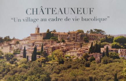 Bambou entre Mer et Montagnes - Foto 24