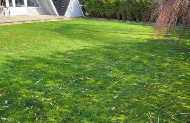 Nurdachhaus Zeltdachhaus Damp - Foto 17