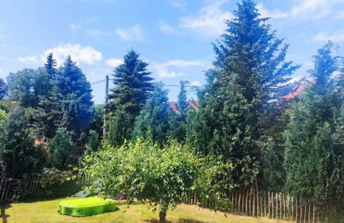 Ferienwohnung am Hofladen Hellendorf - Sächsische Schweiz - Foto 43