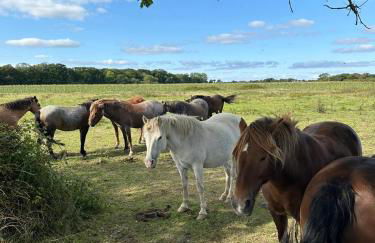 Modern Coastal Cottage, Hottub, Parking, Pets welcome - Foto 21