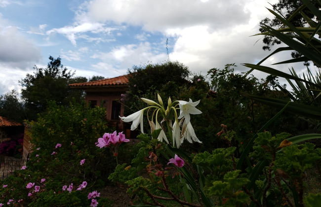 Hotel La Primavera Suites & Casas Campestres - Photo 65