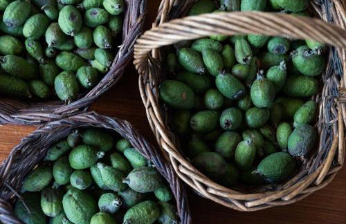 Casa A Curiscada - Foto 60