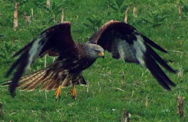 Lake view Romantic retreat - Foto 27