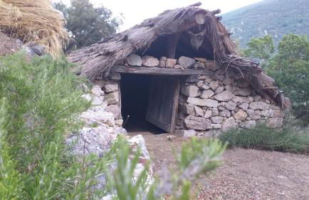 Casa Petra y Armando - Foto 24