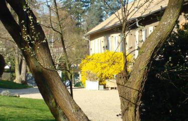 Les Communs du Manoir - Foto 38