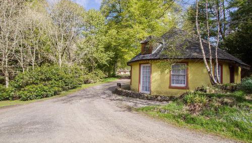 Tinkerbell - Photo 2