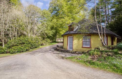 Tinkerbell - Foto 11