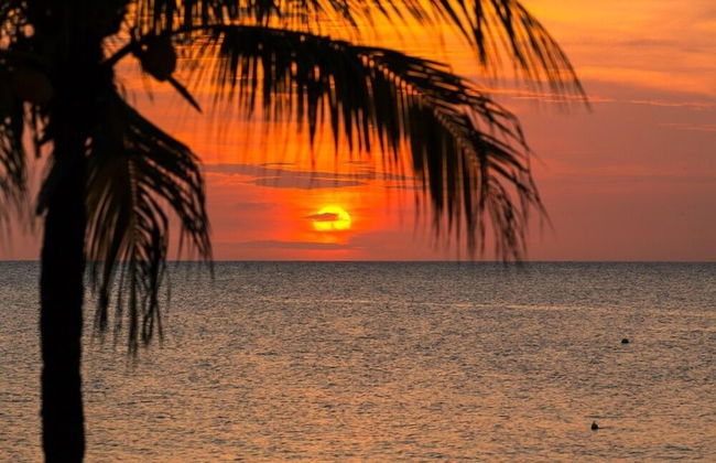 Coral Vista #5 - Foto 27