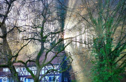 Ferienhaus Landhaus Am Hirtzborn - Foto 69