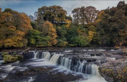 Sunnyholme - New! Yorkshire Luxurious Cottage - Foto 52