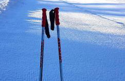 Residenz Grafenmatt Feldberg - Foto 41