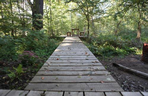 Ferienhof Idyll am kleinen Fließ - Foto 54