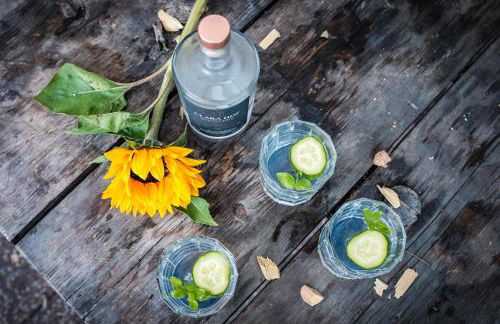 Ferienwohnung am Kunterbunthof - Foto 21