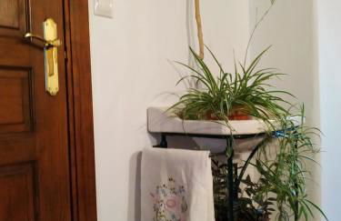 Casa Museo Quintín - Foto 8