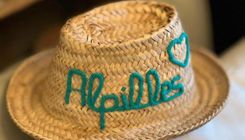 L'ALPILLE - Maison de vacances située à 10 mn à pied du centre ville de St Rémy avec place de parking privative - Foto 2