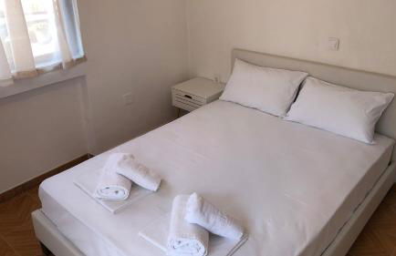 ARTEMIS and FILLO - Photo 12