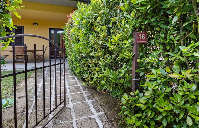 Gorgeous Holiday Home in Sorano With Swimming Pool - Foto 5