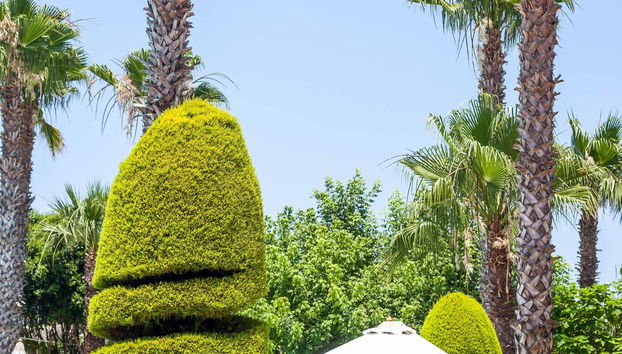 Stavros Melathron - Foto 4