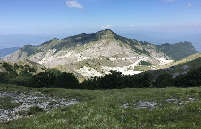 Seaside Getaway- Pet-friendly - Foto 37