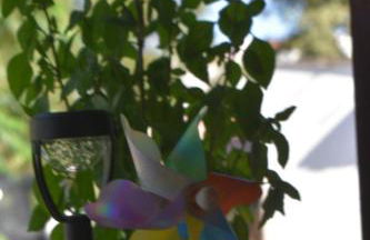 Lily's house near the beach - Photo 32