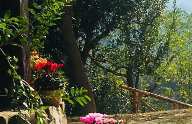 Pizzicalaluna Agriturismo Olistico sulle Colline di Pianoro - Photo 55